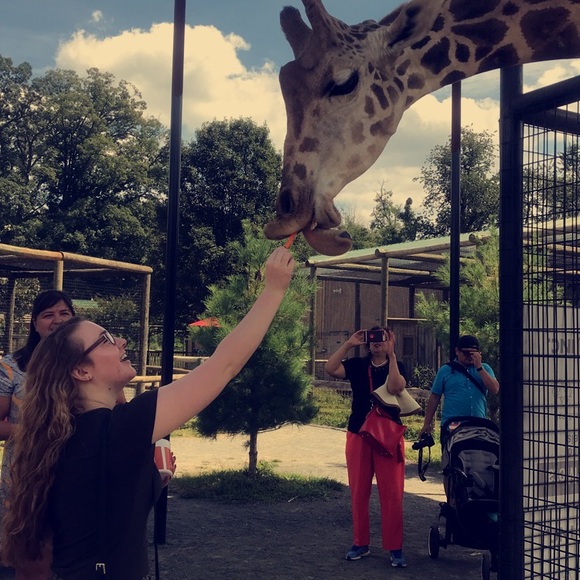 Meet your Posher, Karmen - Picture 2 of 3